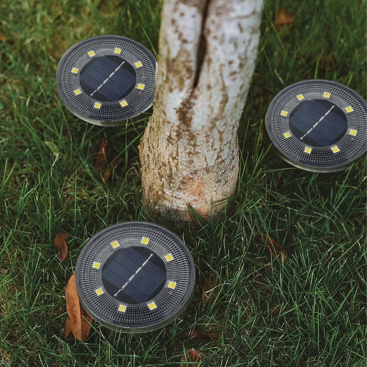 Sconeys™ | Solar-powered Waterproof Lights