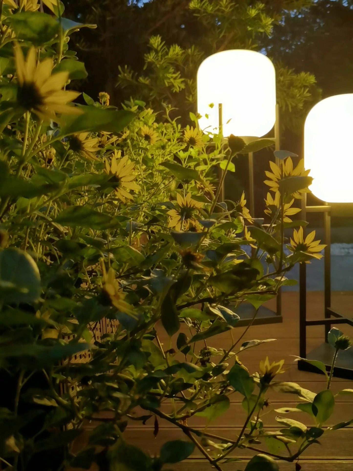 Solar floor lamp lantern for outdoors