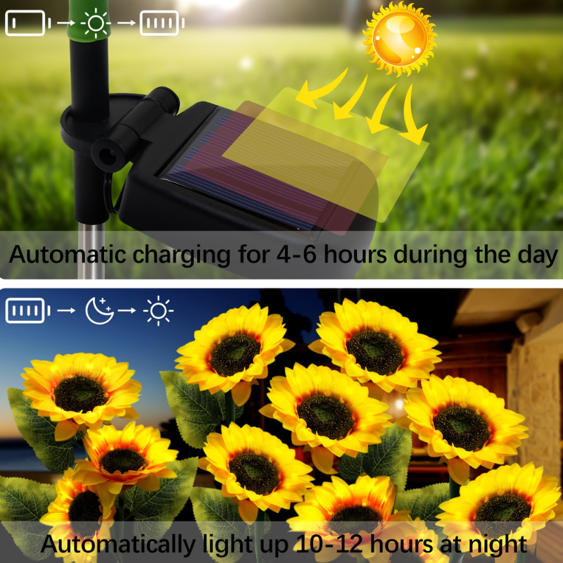 Outdoor LED Landscape Lighting