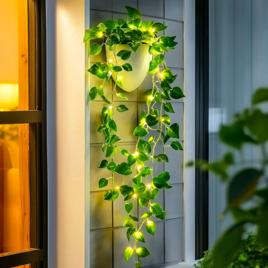 Radiant Ivy Lights
